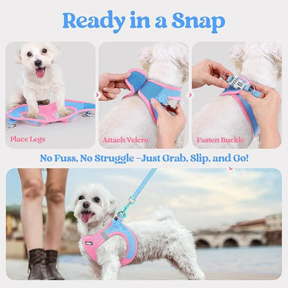 rabbitgoo Dog Harness Small Sized and Leash Set, Step in Soft Light Puppy Vest, Breathable Mesh Pet Harness, Reflective for Safe Easy Walking, Blue & Light Pink XS