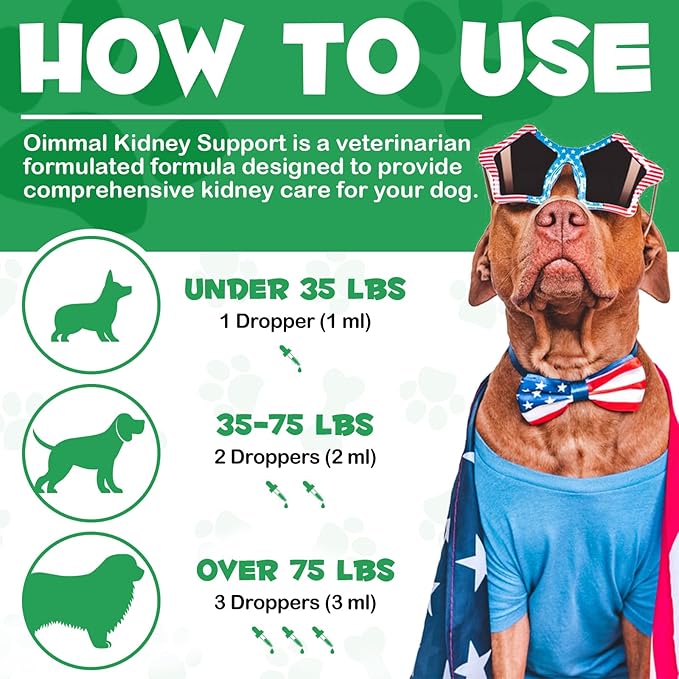 Pet Kidney Support for Dogs, Veterinarian Formulated, Supports Healthy Kidney Function in Dogs, Promotes Overall Physical Health and Vitality, Herbal Supplement, Easy to Absorb, 2 oz