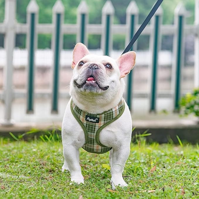 PUPTECK Soft Mesh Dog Harness and Leash Set Pet Puppy Cat Comfort Padded Vest No Pull Harnesses, Olive Green, M
