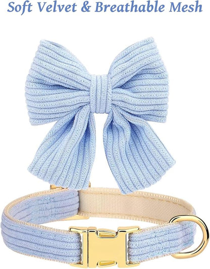 Dog Collar and Leash Set with Bowtie, Girl Dog Collars Metal Buckle Adjustable for Small Medium Dogs (Blue, M: Neck 13"-22" Leash 5 FT)