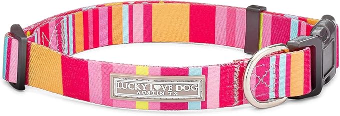 Lucky Love Dog - Adjustable Dog Collar with Easy Click Buckle for Small Dogs, Durable, & Comfortable for Male & Female Dogs, Pet Collar for Puppies & Adult Dogs - Molly, Small