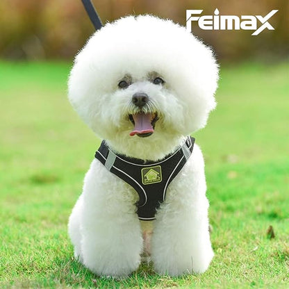 FEimaX Dog Harness and Leash Set, No Pull Breathable Soft Mesh Puppy Vest Harness Reflective Adjustable Pet Harnesses for Small Medium Dogs and Cats - Outdoor Easy Control for Walking