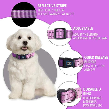 Roses&Poetry Lightpurple Medium Dog Collar and Leash Set, Puppy Reflective Leashes with Collars, Adjustable Durable Matching Collar Leash for Medium Dogs Girl (Lightpurple-M)