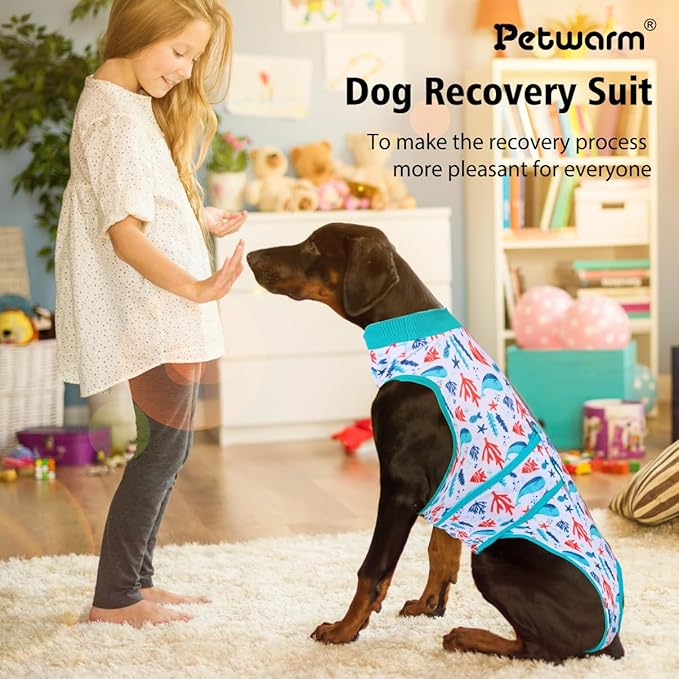 PetWarm Dog Neuter Recovery Suit Male, Recovery Suit for Dogs After Surgery, Recovery Shirt for Dog Abdominal Wounds Bandages Cone E-Collar Alternative, Underwater World Pattern, Blue, XS