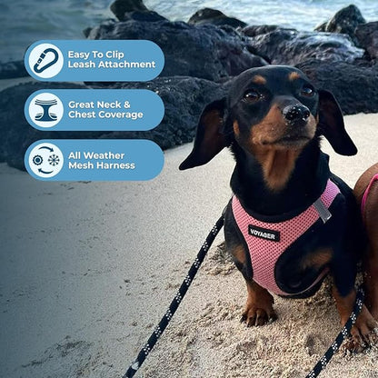 Best Pet Supplies - All Weather Mesh / Plush, Reflective, No Pull Harness for Small, Medium Dogs, Cats - Secure with Hook & Loop Fastener, Buckle, Double D-Rings - Pink/Black Trim, L
