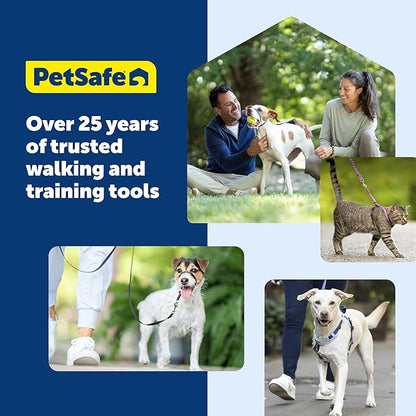 PetSafe Easy Walk Harness for Dogs - Pull-Free Walks - Martingale Loop Design - Front Chest Leash Attachment - Adjustable Comfort Straps - Breathable Harness Design - Small/Medium, Raspberry/Gray
