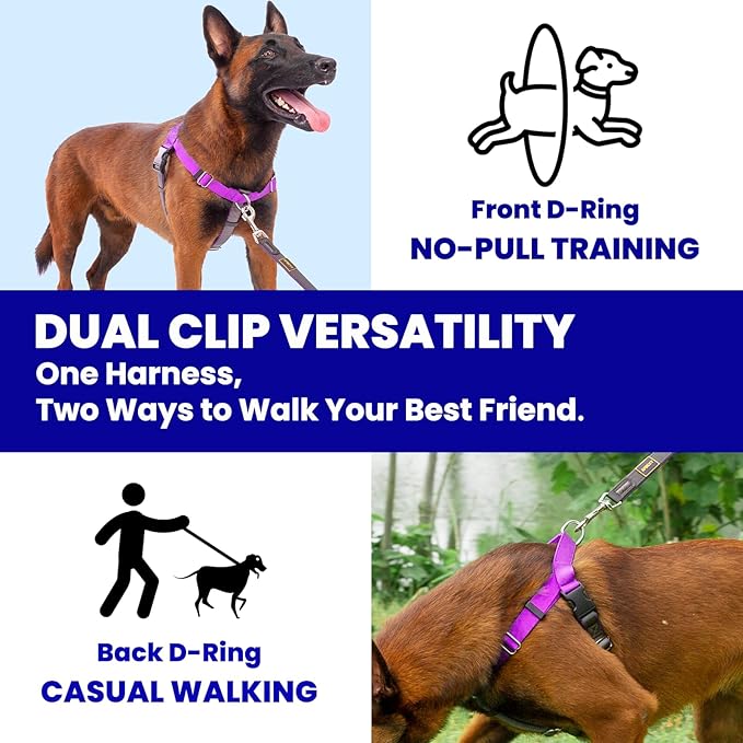 Freedom No Pull Dog Harness for Large Dogs, Front Clip, Easy Walker, Anti Pull with Two Stainless D-Rings, Comfortable, Sewn-in Instructions Tags for Easy Use (Purple, XXL)
