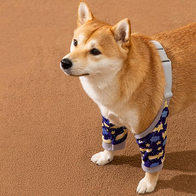 HDKUW Dog Front Leg Braces Recovery Sleeve, Pet Knee Brace Wounds Protector for Medium Large Dog Blue Star 3XL