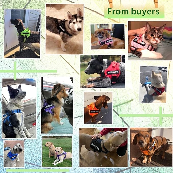 voopet Service Dog Harness, Emotional Support Pet Vest Harness, Reflective Breathable & Adjustable No Pull for Small Medium Large Dogs (with 4 PCS Removeable Tags),X Large (Pack of 1)