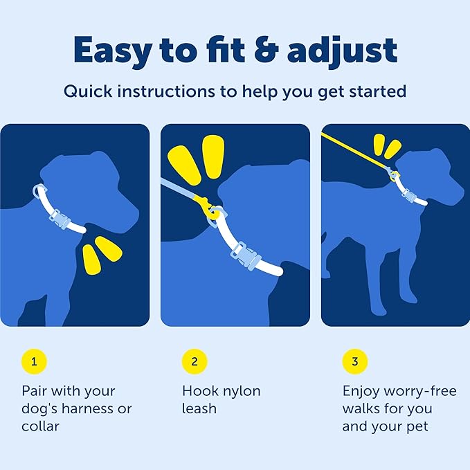 PetSafe Nylon Leash - Strong Dog Leash for Everyday Use - Secure & Simple Design for Reliable Control - Lightweight with Durable Hardware - 3/8 Inch - 6 Feet - Blue