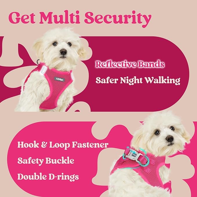 rabbitgoo Small Dog Harness, Step-in Soft Mesh Puppy Vest with Safety Buckle, Breathable Reflective Pet Harness for Extra Small Dogs, Rose Red XXS