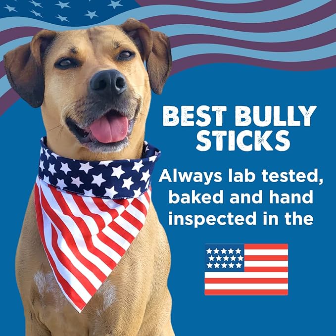 Best Bully Sticks Marrow Bones - 3 Count (Pack of 1) - USA Packed, Healthy Snack, Grass-Fed Beef, Long-Lasting, Great for Large Breeds