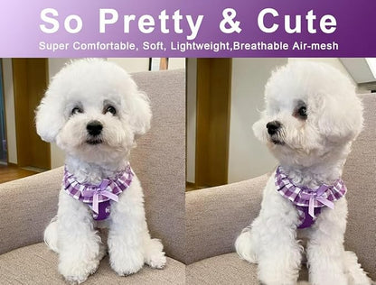 SuperBuddy Upgraded Soft Mesh Dog Harness, Super Breathable Lightweight Pet Harnesses for Puppy Dogs Outdoor Walking, Purple Dog Harness -Small