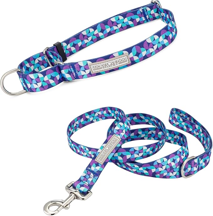 Lucky Love Dog Martingale Dog Collar & Leash - Adjustable, No-Slip, Durable, Comfortable, Soft Webbing, & Stylish Patterned Collar & Leash Set for Male and Female Dogs - Jasper Combo, Large