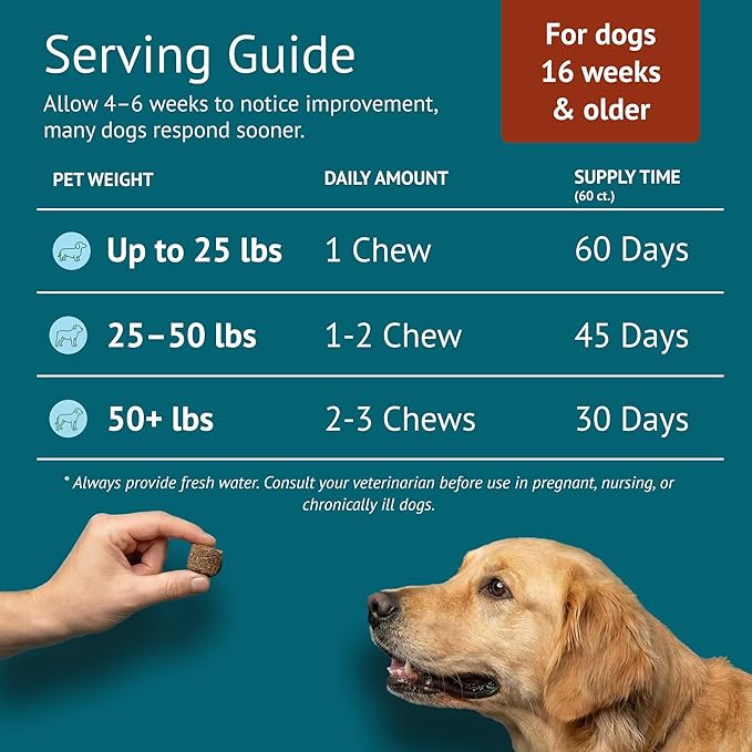 Hip & Joint Dog Chews – Glucosamine, Chondroitin, MSM, Turmeric & Collagen for Joint Health & Mobility – High-Potency Supplement for Dogs of All Breeds & Sizes – Active Lifestyle Support