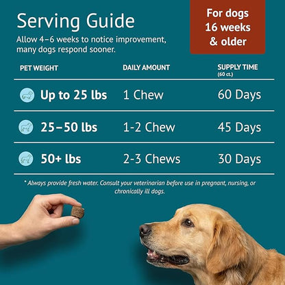 Hip & Joint Dog Chews – Glucosamine, Chondroitin, MSM, Turmeric & Collagen for Joint Health & Mobility – High-Potency Supplement for Dogs of All Breeds & Sizes – Active Lifestyle Support