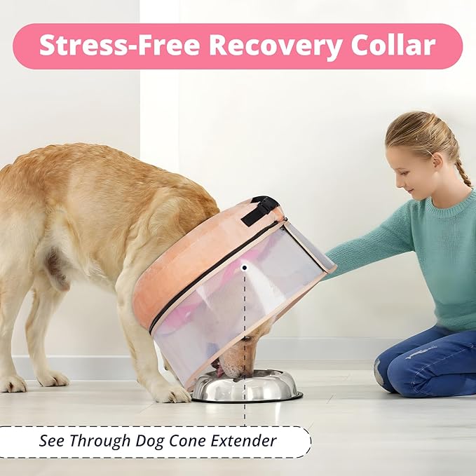 Inflatable Dog Cone with Transparent Shield, Protective Dog Donut Collar After Surgery to Stop Licking, Soft Donut Cone for Medium Pets, Adjustable Recovery Collar with Buckle Visibility
