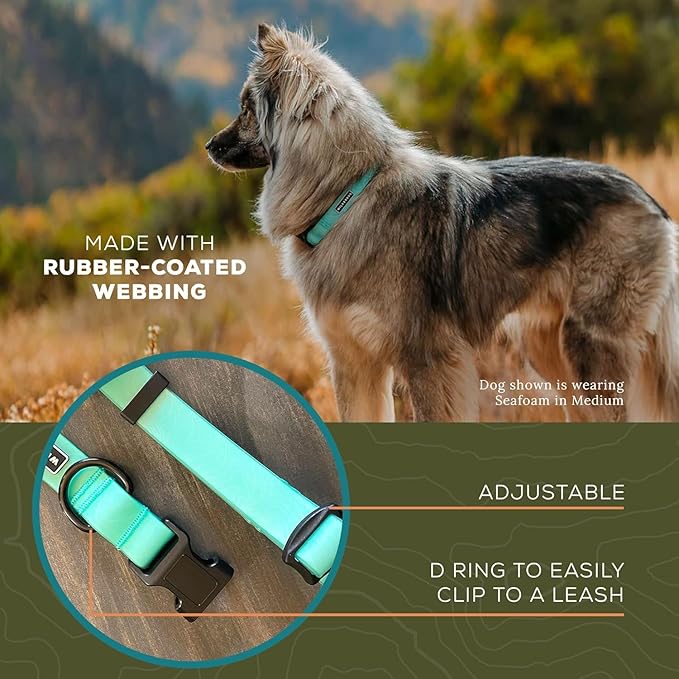 Wilderdog Waterproof Dog Collar - Repels Water & Dirt - Medium 13"-18" - Seafoam