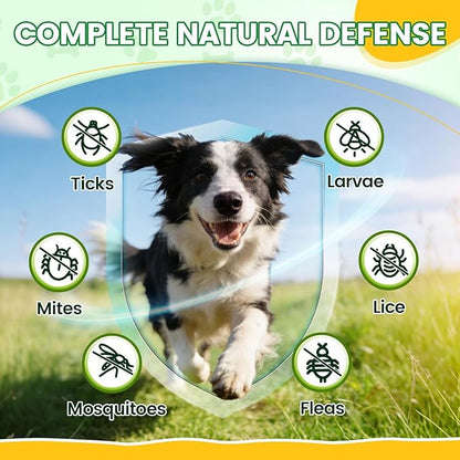 Flea and Tick Prevention for Dogs Chews – 500 Tasty Chicken Flavor Soft Chews, Dog Flea and Tick Treatment, Oral Flea Chews Supplement for Dogs, Puppies, All Breeds & Ages