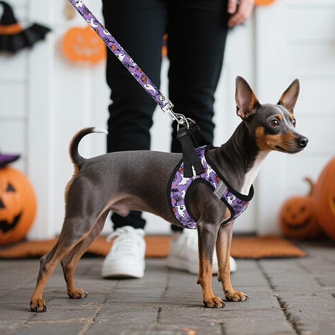 KOOLTAIL Halloween Dog Harness and Leash Set for Small Medium Dogs, Step in No Pull Soft Mesh Harness Comfort Padded Pet Vest, Adjustable Reflective Easy Walking Puppy Cats Harness Training, Ghost M