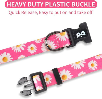 QQPETS Adjustable Soft Dog Collar: Print Flower Pink Multicolor Cute Patterns for XS Small Medium Large Pet Girl Boy Puppy Walking Running Training (XS, Small Daisies)