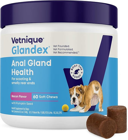 Vetnique Glandex Anal Gland Soft Chew Treats with Pumpkin for Dogs Digestive Enzymes, Probiotics Fiber Supplement for Dogs Boot The Scoot (Bacon Flavor Chews, 60 Count)