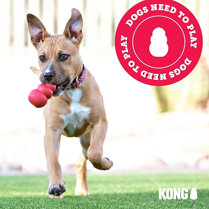 KONG Wild Knots Bears - Durable Dog Toys with Internal Knotted Ropes and Minimal Stuffing for Less Mess (Assorted Colors) (Medium/Large)