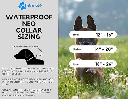 Max and Neo Waterproof Collar - Donates to Dog Rescue for Each Sold (Small, Black)