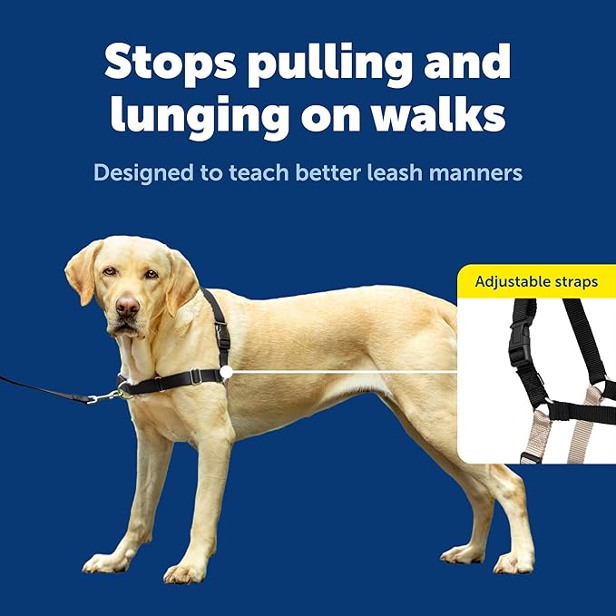 PetSafe Easy Walk Harness for Dogs - Pull-Free Walks - Patented Martingale Loop Design - Front Chest Leash Attachment - Adjustable Comfort Straps - Breathable Harness Design - Large, Black/Silver