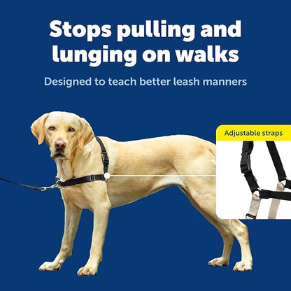 PetSafe Easy Walk Harness for Dogs - Pull-Free Walks - Patented Martingale Loop Design - Front Chest Leash Attachment - Adjustable Comfort Straps - Breathable Harness Design - Large, Black/Silver