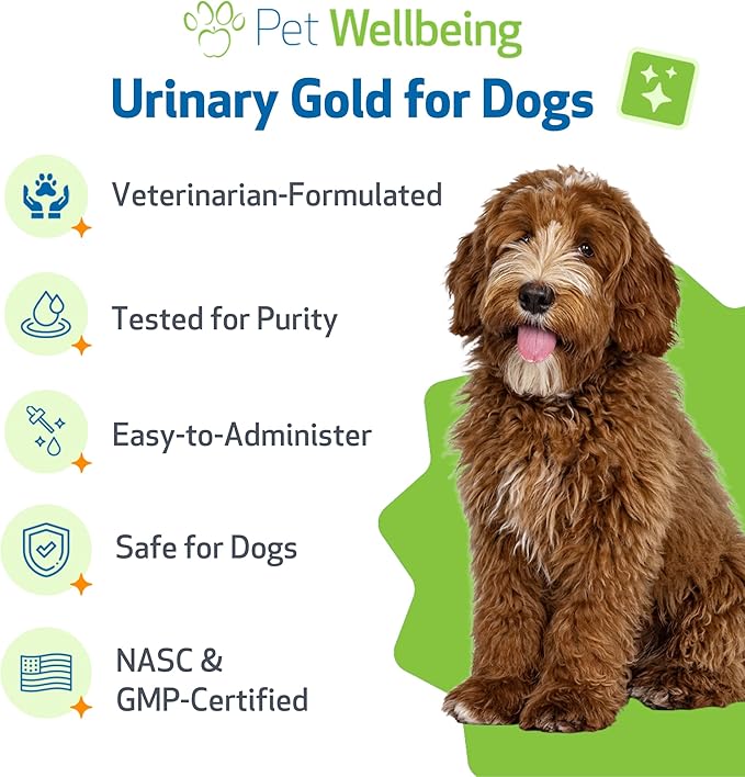 Pet Wellbeing Urinary Gold for Dogs - Vet-Formulated Multi-Herb Urinary Tract Support - Bladder Health & Urinary System Wellness - Natural Dog Supplement - 2 oz (59ml) (4 fl oz (118 ml))