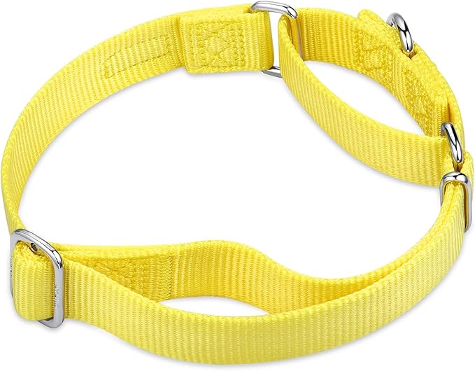 Hyhug Martingale Dog Collar Medium Yellow |Escape - Proof Heavy Duty Nylon Durable No Slip, Ideal for Training & Daily Walks