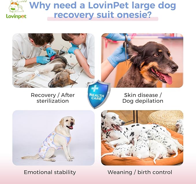 LovinPet Dog Recovery Suit for Large Medium Dogs - Dog's Bodysuit Wound Protective Surgical for Abdominal Wounds After Surgery Anti-Licking Dog Onesies,Elephant,Yellow,M