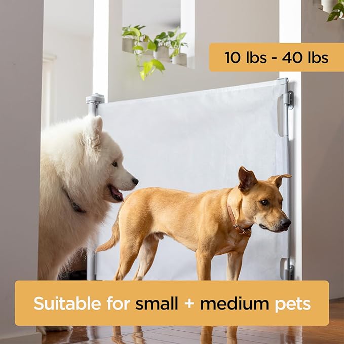 Hakuna Pets Indoor/Outdoor Paw Proof Retractable Dog Gate, 36.6" Tall Extends to 71" Wide, Gray
