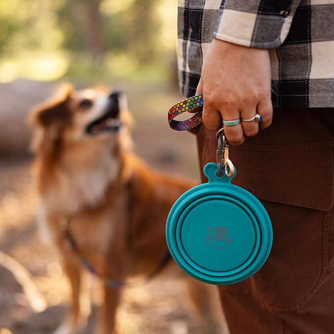 Messy Mutts Silicone Collapsible Bowl | Pet Travel Necessity | Portable Water or Food Dish | Pop Up Watering Bowl | Camping, Hiking, Walking Accessory | Large, 3 Cups | Green