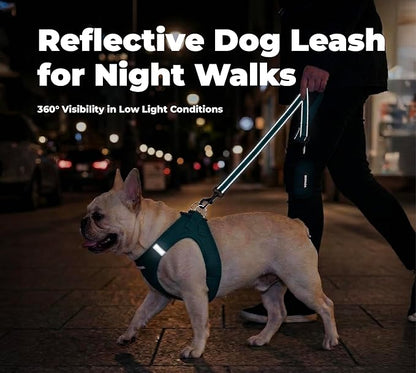 Best Pet Supplies Voyager Reflective Dog Leash or Collar with Neoprene Handle, for Small, Medium, and Large Breed Puppies, Cute and Heavy Duty for Walking, Running and Training - Blue (Leash), L