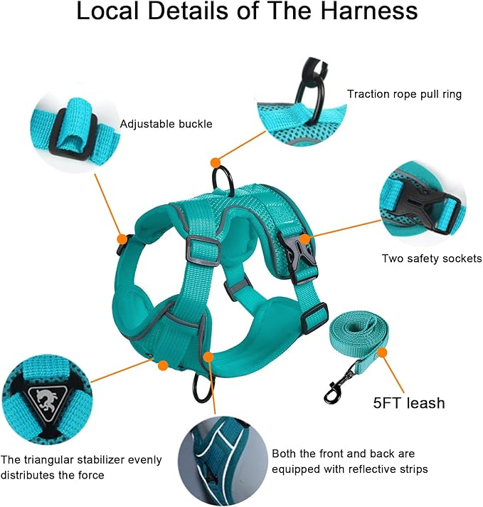 SOLMOONY Small Dog Harness,Soft Mesh Puppy Harness and Leash Set,No Escape Cat Harnesses for Training Walking,Reflective Adjustable Puppy Vest for Small Medium Dogs, Cats (Turquoise, XL)