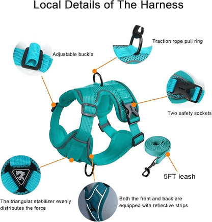 SOLMOONY Small Dog Harness,Soft Mesh Puppy Harness and Leash Set,No Escape Cat Harnesses for Training Walking,Reflective Adjustable Puppy Vest for Small Medium Dogs, Cats (Turquoise, XL)