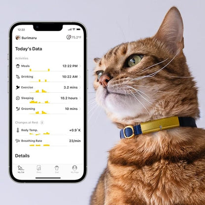 Health Tracker for Cats - Smart Cat Collar with Safety Breakaway Buckle for Indoor Cats, Wellness Alerts, Real-time Monitoring (Sakura, XL)