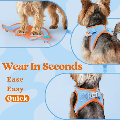 rabbitgoo Small Dog Harness, Step-in Soft Mesh Puppy Vest with Safety Buckle, Breathable Reflective Pet Harness for Small Sized Dogs, Blue & Orange XS