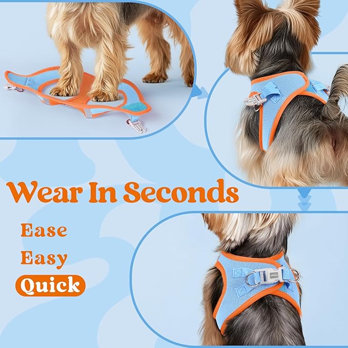 rabbitgoo Small Dog Harness, Step-in Soft Mesh Puppy Vest with Safety Buckle, Breathable Reflective Pet Harness for Extra Small Dogs, Blue & Orange XXS