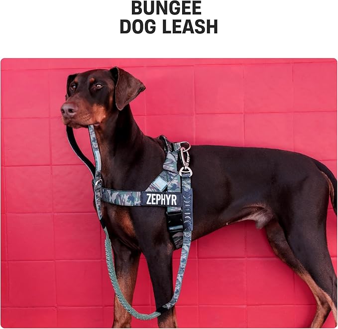 Dog Friendly Co. Bungee Dog Leash | Strain Free & Shock Resistant for Control | Neoprene Padded Handle, Heavy-Duty Carabiner Clip, and D-Ring | Red, Size Regular