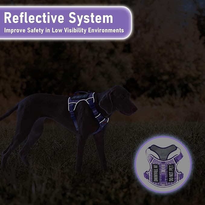 AUNZO Dog Vest Harness with 2 Patches, No Pull Dog Harness for Walking Training Hiking, Metal D-Rings Easy on/Off Neck Buckle Reflective Strips Soft Padded Handle, Purple
