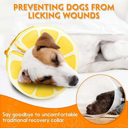 Inflatable Dog Cone, Protective Inflatable Collar for Small Dogs,Soft Adjustable Pet Cone Alternative After Surgery for Wound Healing and Prevent from Biting or Scratching