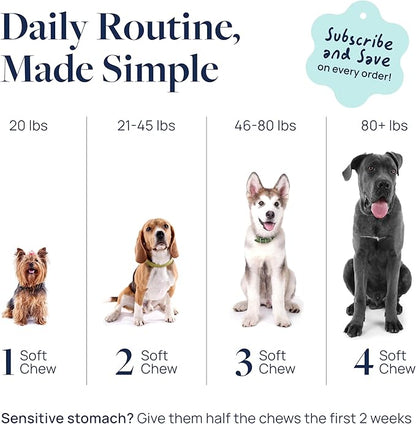 Veterinary Formula Dental Health Supplement for Dogs – Vet-Formulated Chews with EpiCor® & Kelp – Smart Vitality Supports Plaque, Tartar, Breath & Oral Health, 60 Soft Chews