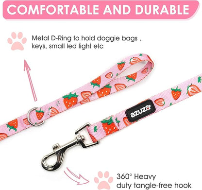 azuza Fruit Dog Collar and Leash Set, Collar Nylon and Matching Leash, Great Option for Medium Dogs, Strawberry, M (Neck: 14"-20")