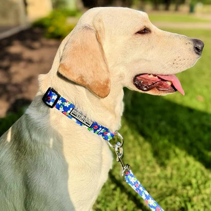 Lucky Love Dog - Adjustable Dog Collar with Easy Click Buckle for Small Ones, Durable, & Comfortable for Male & Female Dogs, Pet Collar for Puppies & Adult Dogs - Lilian, XS