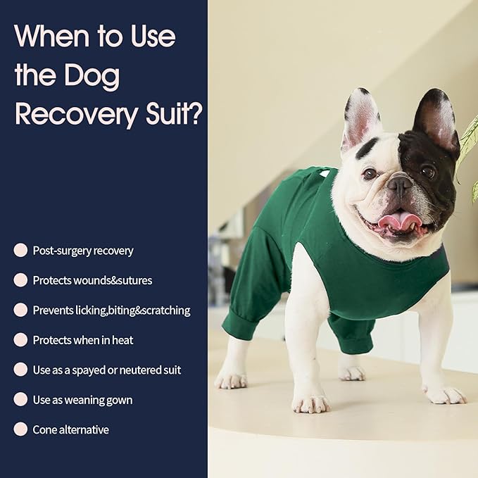 IECOii Pet Surgery Recovery Suit,Breathable Dog Bodysuit E-Collar & Cone Alternative Surgical Suit After Spayed/Neutered Wear,Recovery Suit for Dogs Male Female Sleeve to Prevent Licking,XL-Green