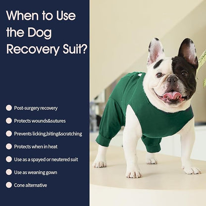 IECOii Pet Surgery Recovery Suit,Breathable Dog Bodysuit E-Collar & Cone Alternative Surgical Suit After Spayed/Neutered Wear,Recovery Suit for Dogs Male Female Sleeve to Prevent Licking,XL-Green
