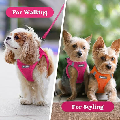 rabbitgoo Small Dog Harness, Step-in Soft Mesh Puppy Vest with Safety Buckle, Breathable Reflective Pet Harness for Extra Small Dogs, Rose Red XXS